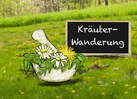 Banner Kräuterwanderung 